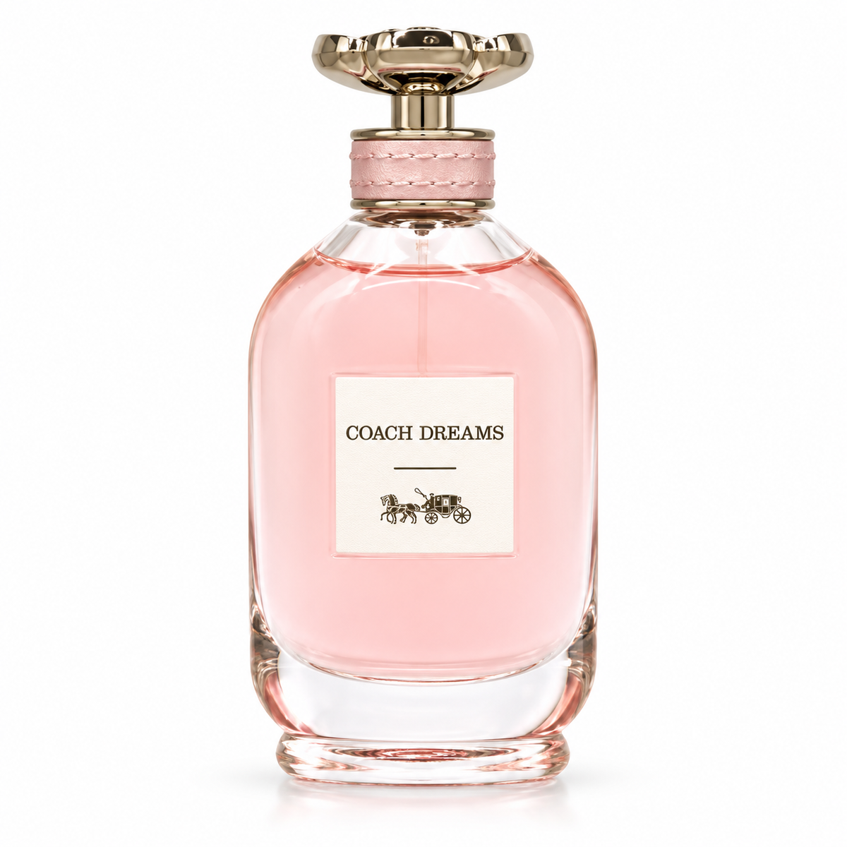 Coach Dreams
