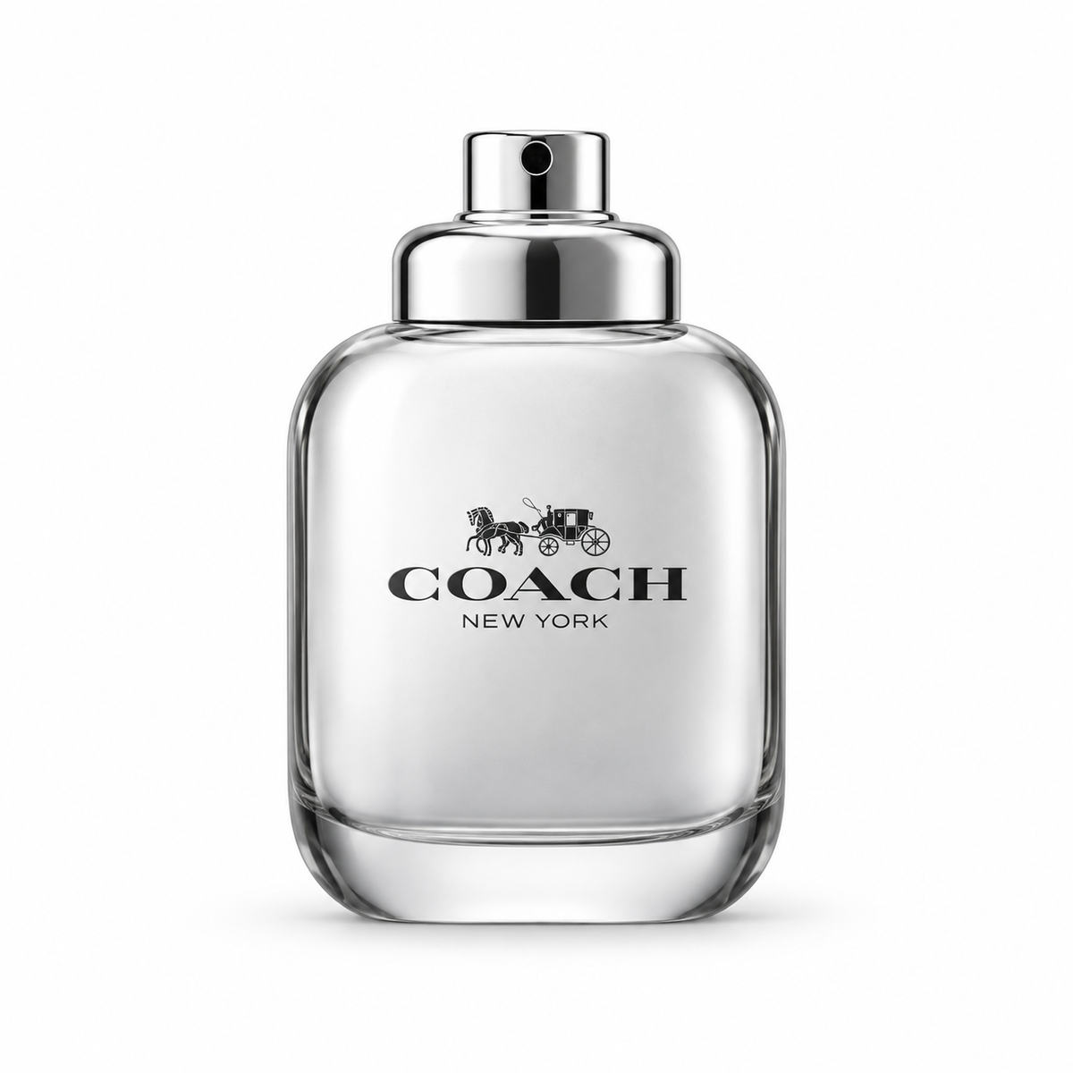 Coach New York Platinum
